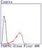 Poly(A) Binding Protein Nuclear 1 antibody, NBP2-67015, Novus Biologicals, Flow Cytometry image 