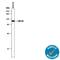 Tripartite Motif Containing 71 antibody, AF5104, R&D Systems, Western Blot image 