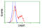 Glycine N-Methyltransferase antibody, LS-C115286, Lifespan Biosciences, Flow Cytometry image 