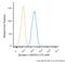 Enolase 2 antibody, NBP2-54452APC, Novus Biologicals, Flow Cytometry image 