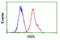 Spermine Synthase antibody, LS-C173074, Lifespan Biosciences, Flow Cytometry image 