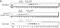 Karyopherin Subunit Alpha 1 antibody, 63-113, BioAcademia Inc, Western Blot image 