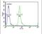 HemK Methyltransferase Family Member 1 antibody, PA5-24489, Invitrogen Antibodies, Flow Cytometry image 