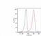 Keratin 18 antibody, GTX80207, GeneTex, Flow Cytometry image 