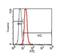 Lysosomal Associated Membrane Protein 2 antibody, NBP1-28553, Novus Biologicals, Flow Cytometry image 