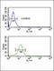 Collagen Type V Alpha 2 Chain antibody, LS-C100539, Lifespan Biosciences, Flow Cytometry image 