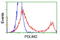 PDZ And LIM Domain 2 antibody, TA502709, Origene, Flow Cytometry image 