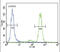 Protein Kinase C Alpha antibody, 62-590, ProSci, Immunohistochemistry paraffin image 