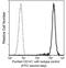 Basigin (Ok Blood Group) antibody, GTX02108, GeneTex, Flow Cytometry image 