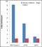 H2A Histone Family Member X antibody, 710812, Invitrogen Antibodies, Chromatin Immunoprecipitation image 