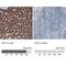 Ornithine Carbamoyltransferase antibody, NBP2-59038, Novus Biologicals, Immunohistochemistry paraffin image 