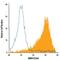 Mannose Receptor C-Type 1 antibody, FAB25342A, R&D Systems, Flow Cytometry image 