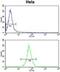 Kinesin Family Member 11 antibody, abx034225, Abbexa, Flow Cytometry image 