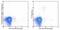 Killer cell lectin-like receptor 8 antibody, 14-5886-82, Invitrogen Antibodies, Flow Cytometry image 