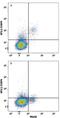 Nuclear Factor, Interleukin 3 Regulated antibody, MAB8888, R&D Systems, Flow Cytometry image 