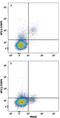 Nuclear Factor, Interleukin 3 Regulated antibody, MAB8888, R&D Systems, Flow Cytometry image 