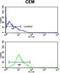 Potassium Voltage-Gated Channel Subfamily J Member 11 antibody, GTX80493, GeneTex, Flow Cytometry image 