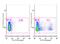 Major Histocompatibility Complex, Class II, DR Alpha antibody, FC00568-PE, Boster Biological Technology, Flow Cytometry image 