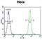 Zinc Finger Protein 384 antibody, abx026515, Abbexa, Flow Cytometry image 