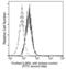 Interleukin 3 Receptor Subunit Alpha antibody, 10518-MM57, Sino Biological, Flow Cytometry image 