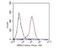 Mucolipin 3 antibody, NBP2-80438, Novus Biologicals, Flow Cytometry image 