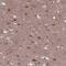 ER Membrane Protein Complex Subunit 2 antibody, PA5-54617, Invitrogen Antibodies, Immunohistochemistry frozen image 