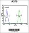 TBC1 Domain Family Member 32 antibody, 63-745, ProSci, Flow Cytometry image 