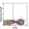 Interleukin 17F antibody, 516604, BioLegend, Flow Cytometry image 