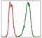 PDZ Binding Kinase antibody, MA5-17144, Invitrogen Antibodies, Flow Cytometry image 