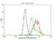 IQ Motif Containing GTPase Activating Protein 1 antibody, LS-C792280, Lifespan Biosciences, Flow Cytometry image 