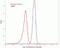 TIMP Metallopeptidase Inhibitor 3 antibody, 710404, Invitrogen Antibodies, Flow Cytometry image 