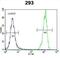 Olfactory Receptor Family 10 Subfamily H Member 1 antibody, abx025952, Abbexa, Flow Cytometry image 