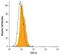 C-X-C Motif Chemokine Ligand 12 antibody, MA5-23759, Invitrogen Antibodies, Flow Cytometry image 