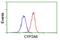 Cytochrome P450 Family 2 Subfamily A Member 6 antibody, NBP2-01437, Novus Biologicals, Flow Cytometry image 