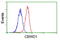 COBW Domain Containing 1 antibody, GTX84728, GeneTex, Flow Cytometry image 