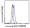 Calcium/Calmodulin Dependent Protein Kinase II Alpha antibody, GTX88413, GeneTex, Flow Cytometry image 