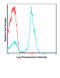 CD28 antibody, 76-731, ProSci, Flow Cytometry image 