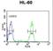 Heat Shock Protein 90 Alpha Family Class B Member 1 antibody, LS-C165051, Lifespan Biosciences, Flow Cytometry image 