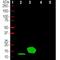 Parvalbumin antibody, NBP2-50036, Novus Biologicals, Western Blot image 