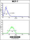 Casein Alpha S1 antibody, 62-319, ProSci, Flow Cytometry image 