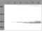 Tubulin antibody, LS-B1867, Lifespan Biosciences, Western Blot image 