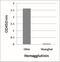 Influenza A H7N9 Hemagglutinin antibody, NBP2-41276, Novus Biologicals, Enzyme Linked Immunosorbent Assay image 