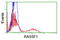 Ras association domain-containing protein 1 antibody, TA502487, Origene, Flow Cytometry image 