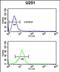 Oligodendrocyte Transcription Factor 3 antibody, PA5-72545, Invitrogen Antibodies, Flow Cytometry image 