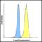 T Cell Immunoreceptor With Ig And ITIM Domains antibody, RF16051, ProSci, Flow Cytometry image 