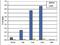 Histone Cluster 4 H4 antibody, NBP2-59242, Novus Biologicals, Chromatin Immunoprecipitation image 