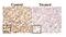 KI-67 antibody, NB110-89717, Novus Biologicals, Immunohistochemistry paraffin image 