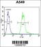 Tyrosyl-DNA Phosphodiesterase 2 antibody, 55-723, ProSci, Flow Cytometry image 