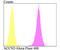 Acid Sensing Ion Channel Subunit 1 antibody, NBP2-76909, Novus Biologicals, Flow Cytometry image 