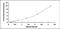 Doublecortin Like Kinase 1 antibody, MBS2023831, MyBioSource, Enzyme Linked Immunosorbent Assay image 